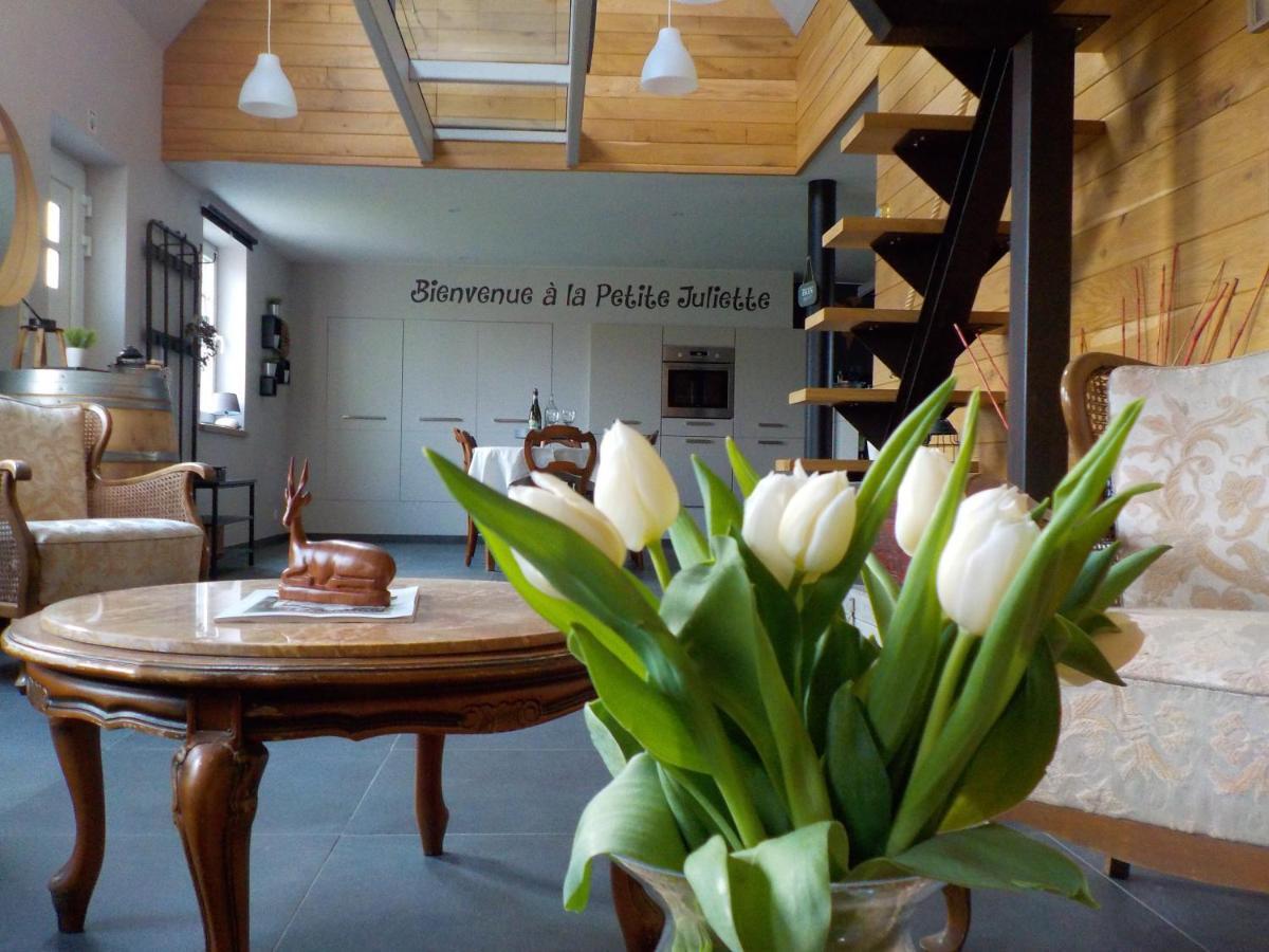 Вилла La Petite Juliette Leuze-en-Hainaut Экстерьер фото