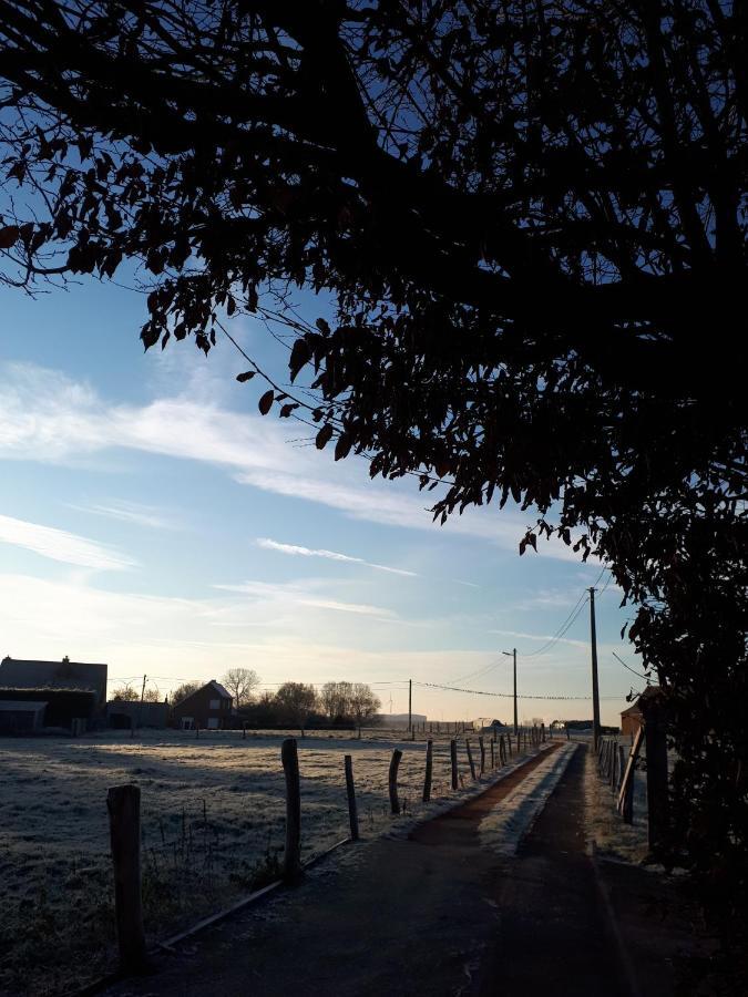Вилла La Petite Juliette Leuze-en-Hainaut Экстерьер фото